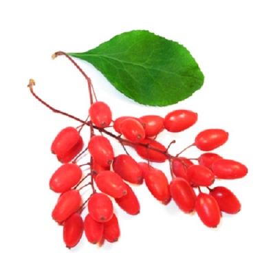 Ароматизатор пищевой Барбарис, Арома Органикс, 100 гр