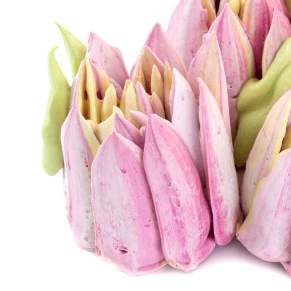 Насадка (диск) для зефирных цветов N12