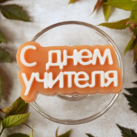 Форма пластиковая для шоколада "С Днем учителя (надпись)"
