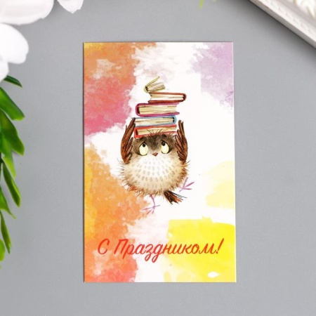 Бирка декоративная "С праздником (сова с книгами)" набор 4 шт