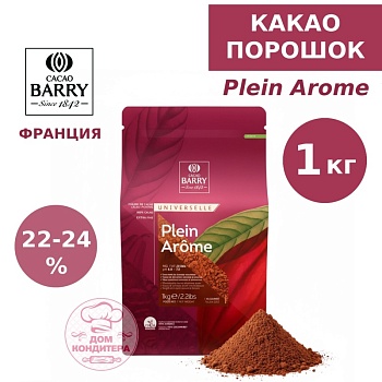 Какао-порошок Plein Arome Cacao Barry 22/24 (коричневый, Франция), опт 1 кг