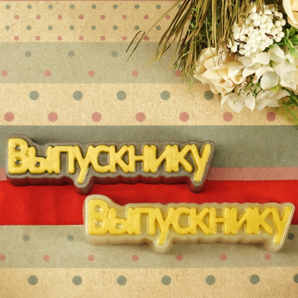 Форма пластиковая для шоколада "Выпускнику (надпись)"