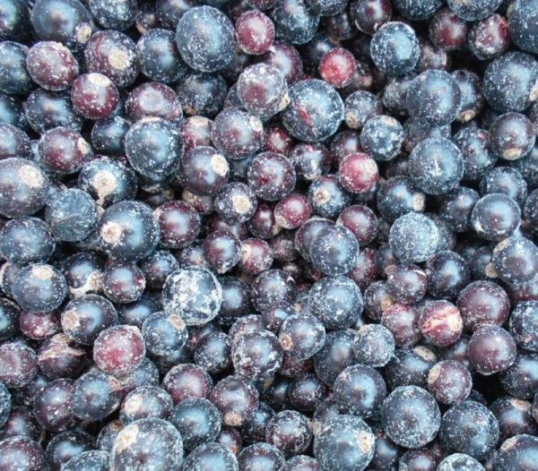 Смородина черная замороженная, 500 гр