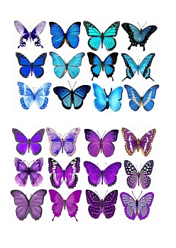 Бабочки разноцветные №10, картинка на сахарной бумаге