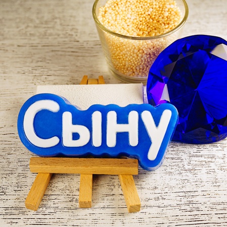 Форма пластиковая для шоколада «Сыну (надпись)»